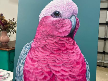 Pete the Galah original framed artwork Online Sale