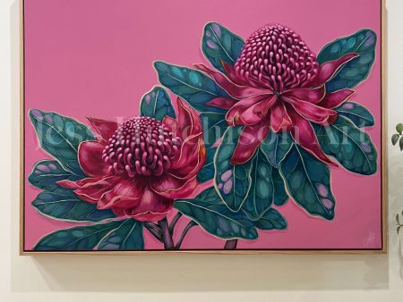 Waratah Dreams  original framed artwork For Discount