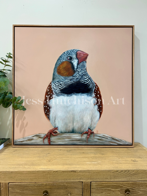 ‘Felix  the Zebra Finch Original framed artwork Online Sale