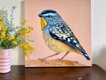 Gus the Spotted Pardalote original framed artwork Supply