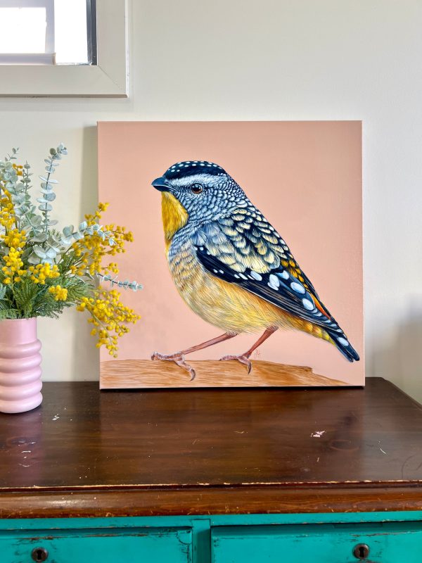 Gus the Spotted Pardalote original framed artwork Supply