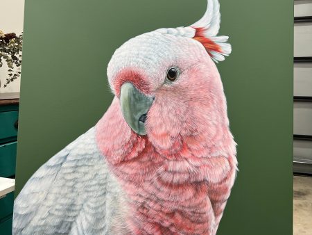 Dawn the Pink Cockatoo original framed artwork For Sale