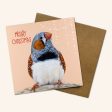 2024 edition Christmas Card Set Online now