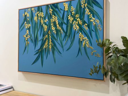 Golden Hour  Wattle - Original framed artwork on Sale