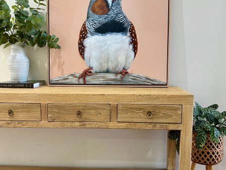 ‘Felix  the Zebra Finch Original framed artwork Online Sale