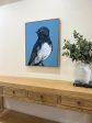 William  the Willie Wagtail original artwork framed in Tasmanian Oak Sale