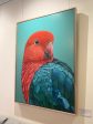 Red the King Parrot canvas print Online