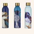 Ashdene Modern Birds Drink Bottle Online now