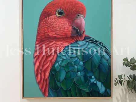 Red  the King Parrot framed original artwork Online now