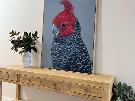 Frankie the Gang Gang Cockatoo Original framed artwork Discount