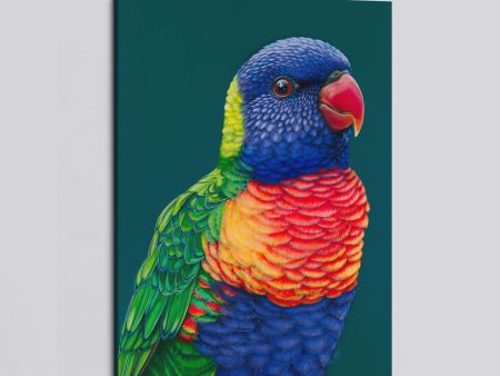 Rupert  The Rainbow Lorikeet canvas print Online Sale