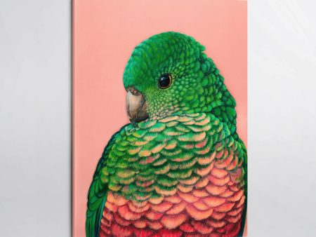 Queenie  the King Parrot Canvas Print Online now