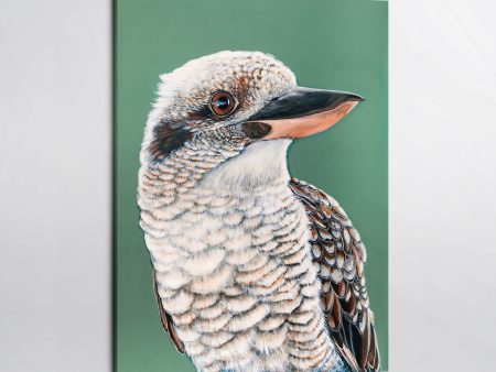 Tucker the Kookaburra Canvas Print Online Hot Sale