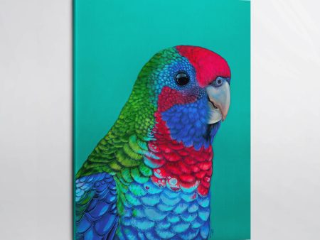 Percy the Crimson Rosella Canvas Print For Sale