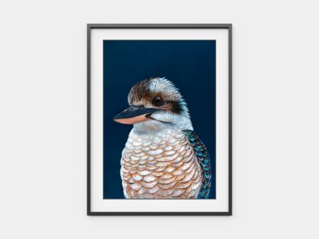 Ollie  the Kookaburra Hot on Sale