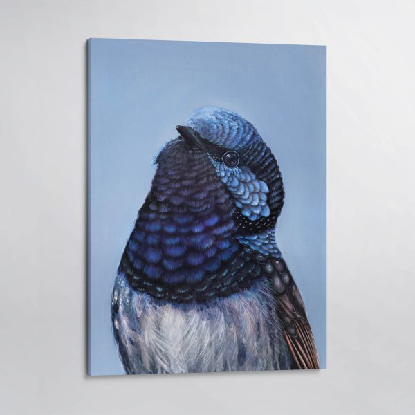 Bobby the Superb Fairy Wren canvas print Online now