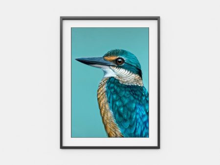 Iluka the Sacred Kingfisher For Discount