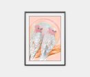 ‘Mitchell and Maude’ Pink Cockatoo pair Supply