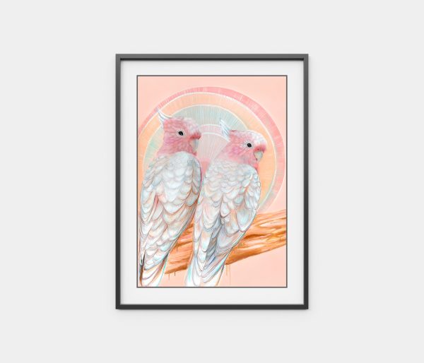 ‘Mitchell and Maude’ Pink Cockatoo pair Supply