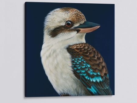 Milo  the Laughing Kookaburra canvas print For Discount