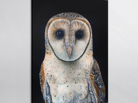 Faith the Australian Masked Owl Canvas Print For Cheap