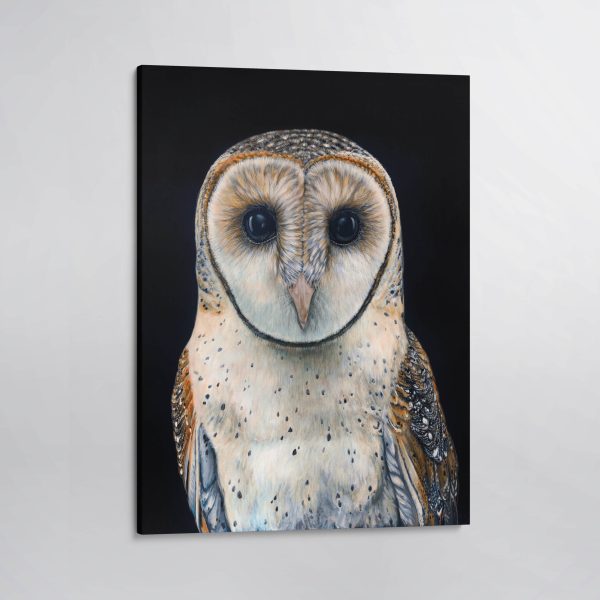 Faith the Australian Masked Owl Canvas Print For Cheap