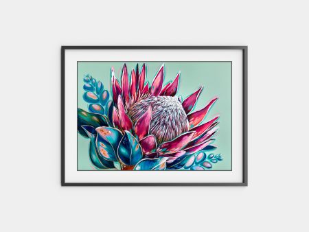 True Colours  King Protea on Sale