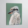 Maya the Kookaburra Canvas Print on Sale