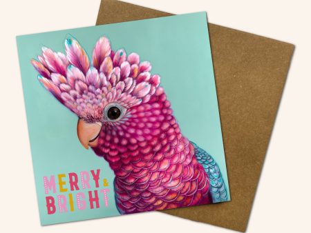 Ziggy the Galah Christmas Card Fashion