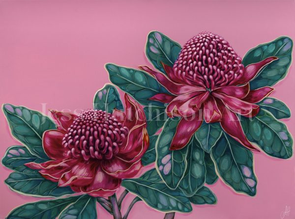 Waratah Dreams  original framed artwork For Discount