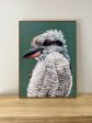 Maya the Kookaburra Canvas Print on Sale