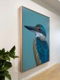 Iluka the Sacred Kingfisher Original framed artwork Online