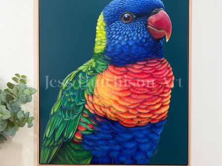 Rupert the Rainbow Lorikeet - Original framed artwork Hot on Sale