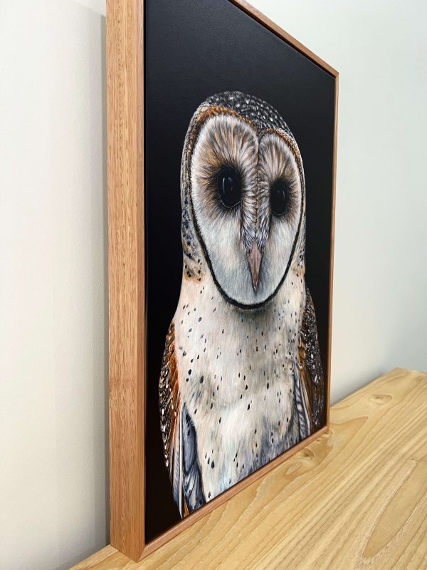 Faith the Australian Masked Owl Canvas Print For Cheap