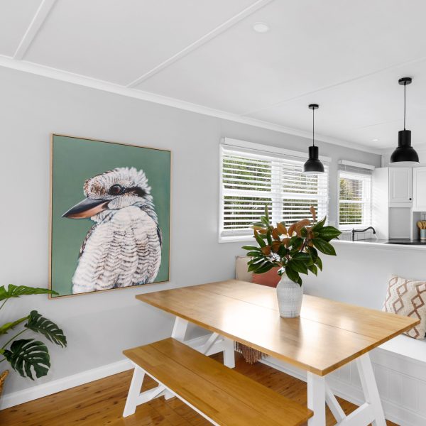 Maya the Kookaburra Canvas Print on Sale