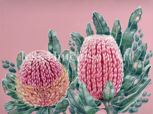 Banksia beauty - Original framed artwork Sale