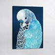 Locky the Budgie Canvas Print Supply