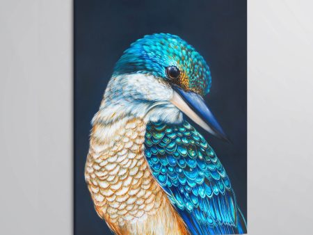 Kingsley  the sacred Kingfisher canvas print For Cheap