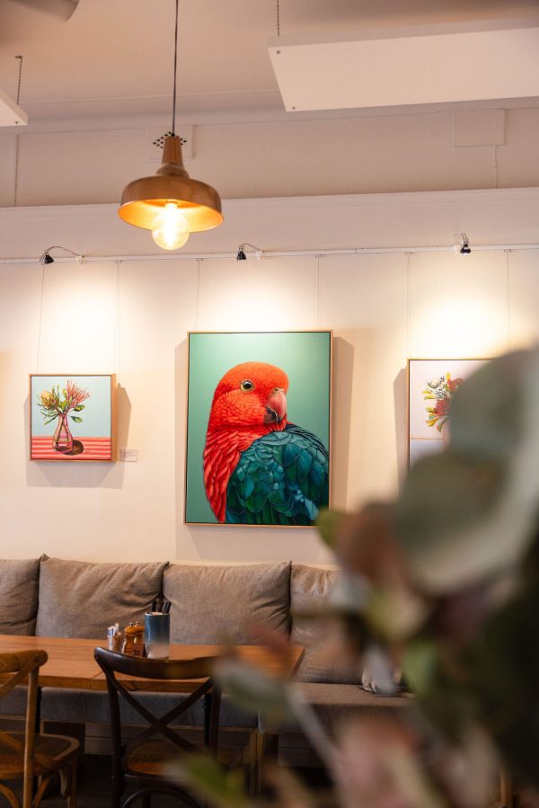 Red  the King Parrot framed original artwork Online now