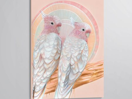 ‘Mitchell and Maude’ Pink Cockatoo pair canvas print Cheap