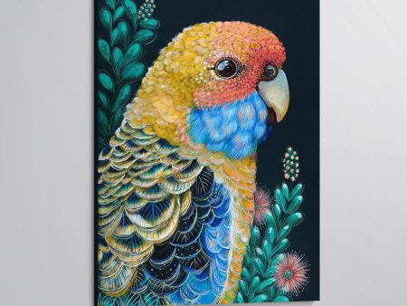 Sunny  The Yellow Rosella canvas print For Sale