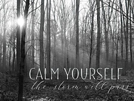 LD2359 - Calm Yourself - 18x12 Cheap