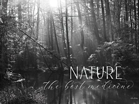 LD2360 - Nature - The Best Medicine - 18x12 For Sale