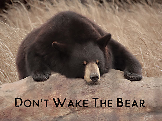 LD2400 - Don t Wake the Bear - 16x12 Supply